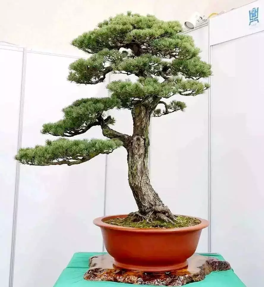 微信圖片_20221029234133.png