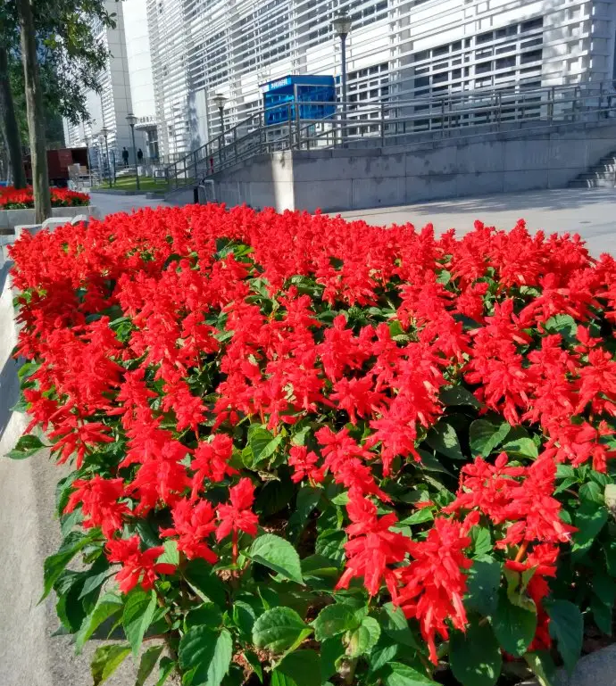微信圖片_20221120164439.png