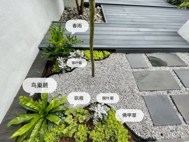 100平米現代風別墅花園植物搭配配置設計實景圖示-成都青望園林景觀設計公司-1 100平米現代風別墅花園植物搭配配置設計實景圖示-成都青望園林景觀設計公司-1