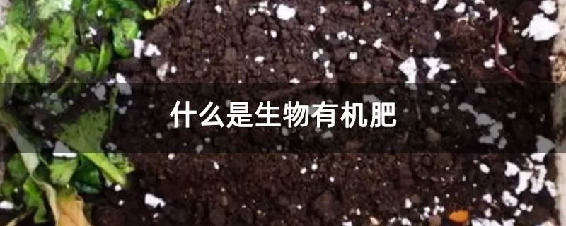 什么是生物有機肥