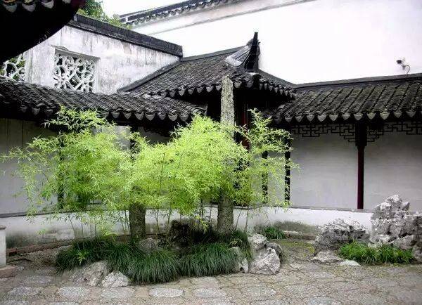 日式庭院和中式庭院有什么區別,哪個好-中式庭院?-青望私家花園設計-1 日式庭院和中式庭院有什么區別,哪個好-中式庭院?-青望私家花園設計-1