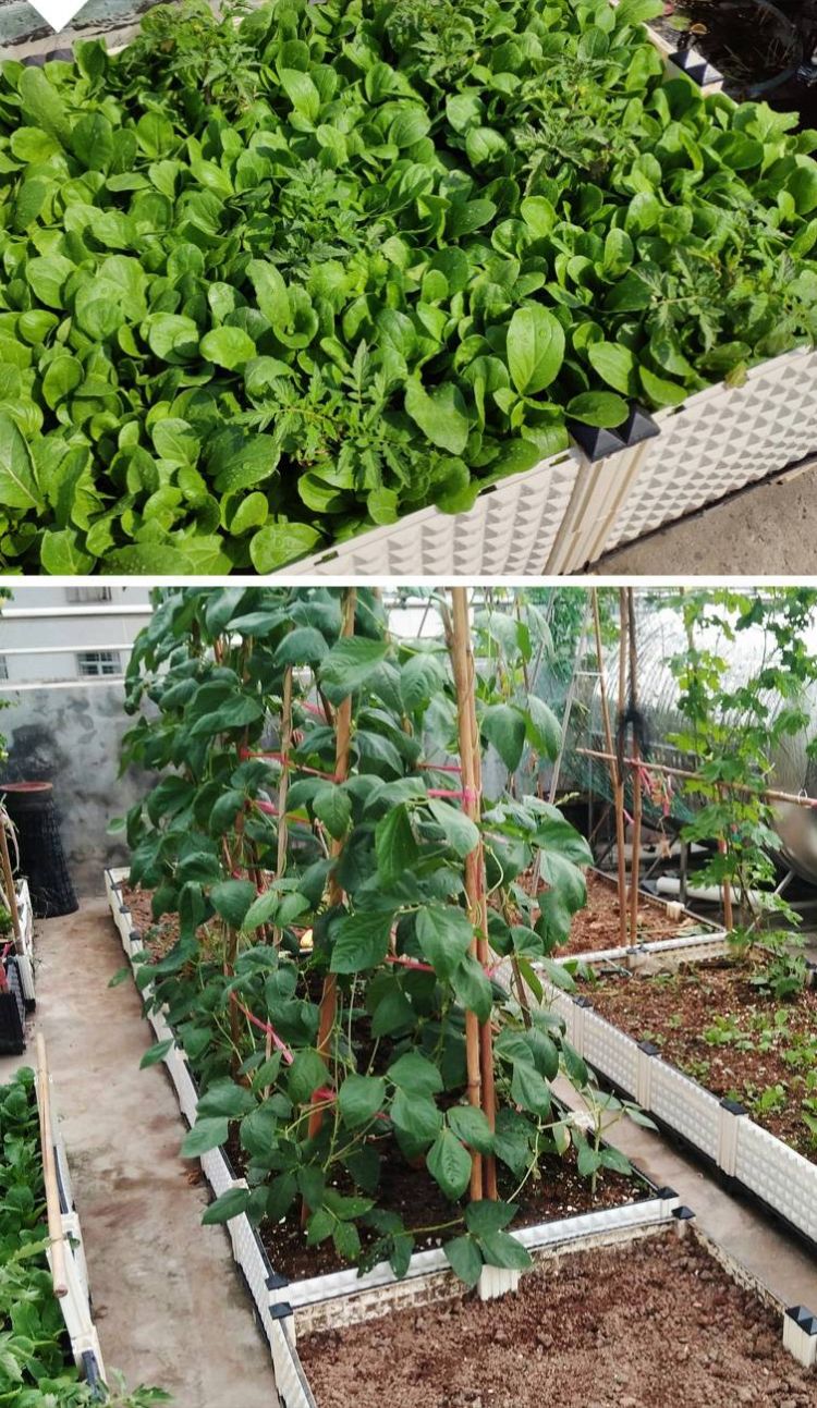 屋頂花園種菜怎么設計規劃合理-青望私家花園設計-1 屋頂花園種菜怎么設計規劃合理-青望私家花園設計-1