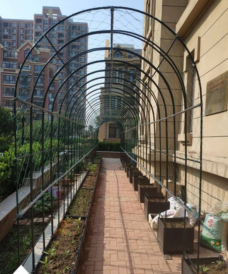屋頂花園種菜怎么設計規劃合理-青望私家花園設計-1 屋頂花園種菜怎么設計規劃合理-青望私家花園設計-1