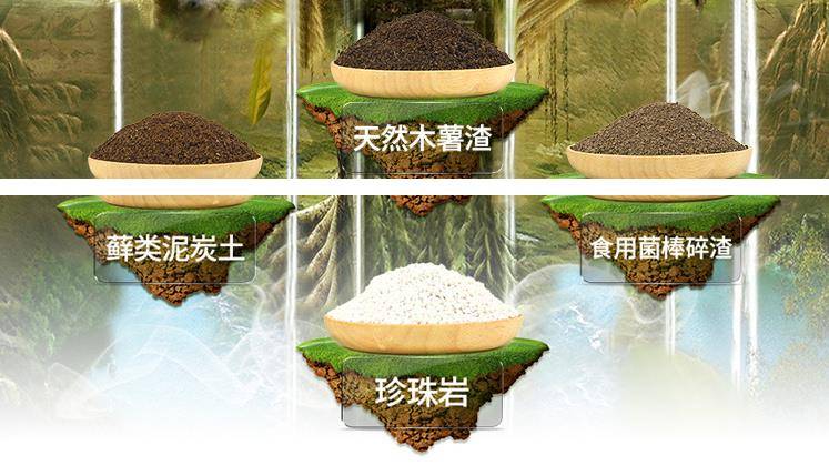 屋頂花園種菜怎么設計規劃合理-青望私家花園設計-1 屋頂花園種菜怎么設計規劃合理-青望私家花園設計-1