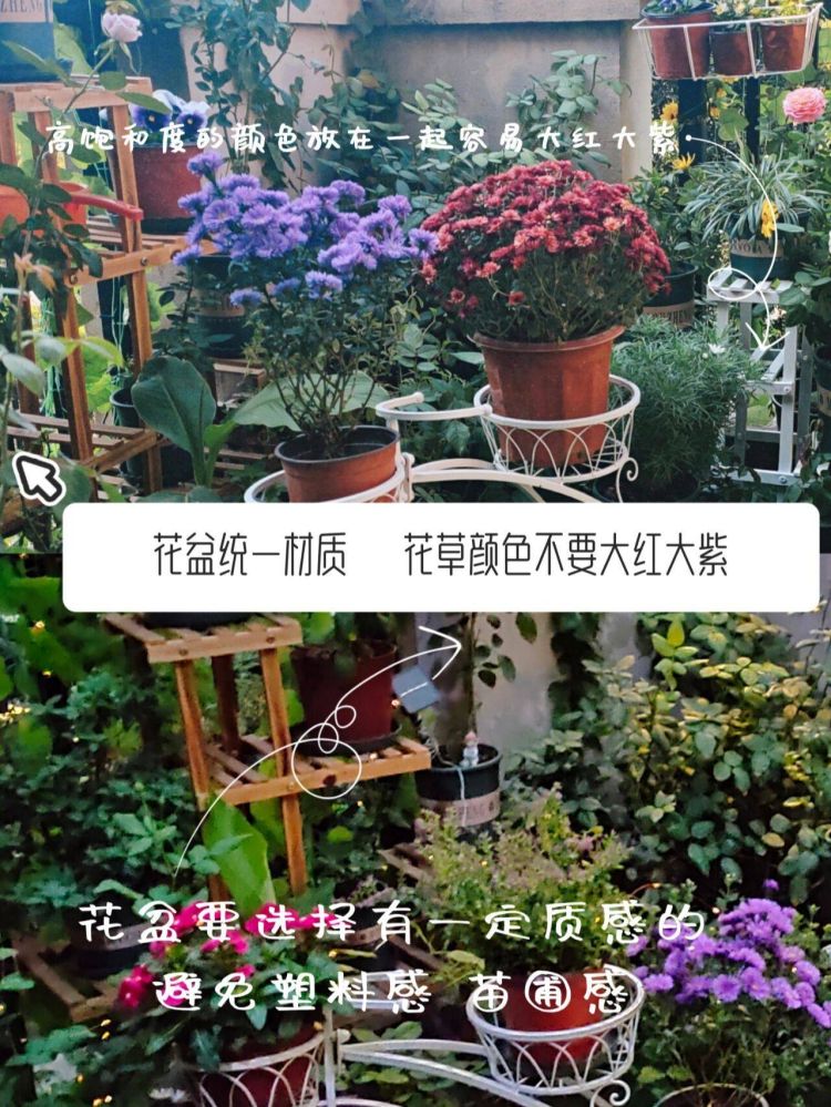 小花園設計裝修5個避坑建議,新手必看-成都青望園林景觀設計公司-1 小花園設計裝修5個避坑建議,新手必看-成都青望園林景觀設計公司-1