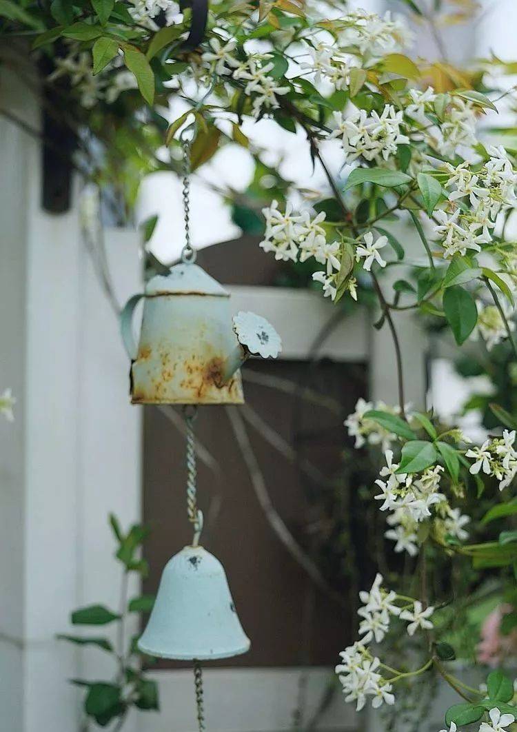 80平屋頂花園設計實景圖案例,效果非常理想-青望私家花園設計-1 80平屋頂花園設計實景圖案例,效果非常理想-青望私家花園設計-1
