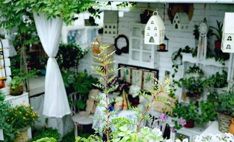 80平屋頂花園設計實景圖案例,效果非常理想-青望私家花園設計-1 80平屋頂花園設計實景圖案例,效果非常理想-青望私家花園設計-1