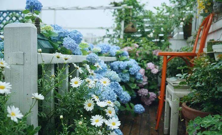 80平屋頂花園設計實景圖案例,效果非常理想-青望私家花園設計-1 80平屋頂花園設計實景圖案例,效果非常理想-青望私家花園設計-1