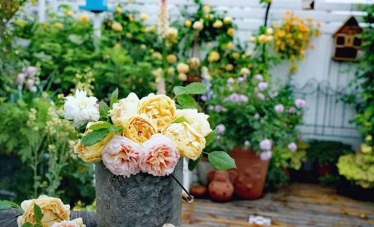 80平屋頂花園設計實景圖案例,效果非常理想-青望私家花園設計-1 80平屋頂花園設計實景圖案例,效果非常理想-青望私家花園設計-1