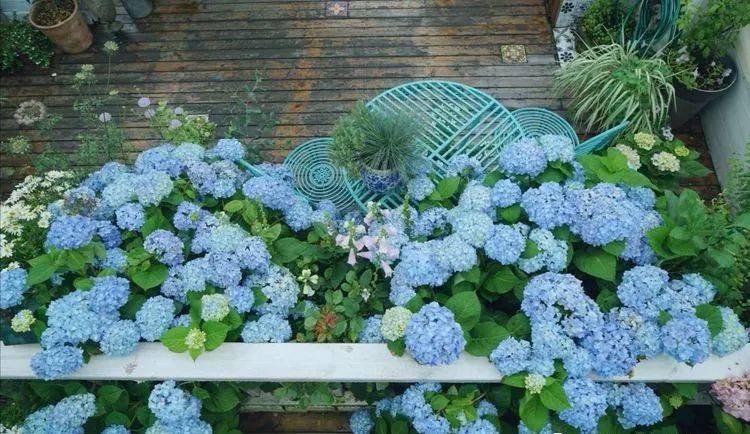 80平屋頂花園設計實景圖案例,效果非常理想-青望私家花園設計-1 80平屋頂花園設計實景圖案例,效果非常理想-青望私家花園設計-1