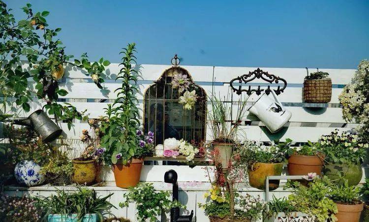 80平屋頂花園設計實景圖案例,效果非常理想-青望私家花園設計-1 80平屋頂花園設計實景圖案例,效果非常理想-青望私家花園設計-1