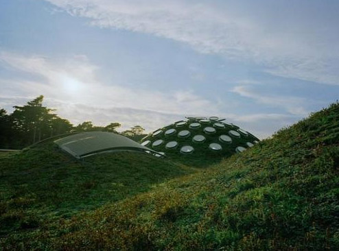 新加利福尼亞科學院大樓屋頂花園-成都青望園林景觀設計公司