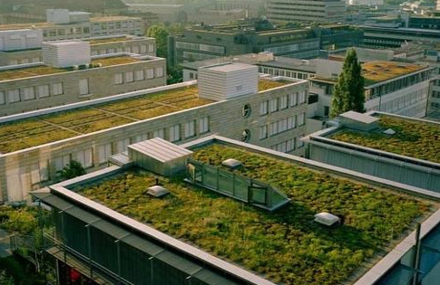 德國司圖加特屋頂花園-成都青望園林景觀設計公司