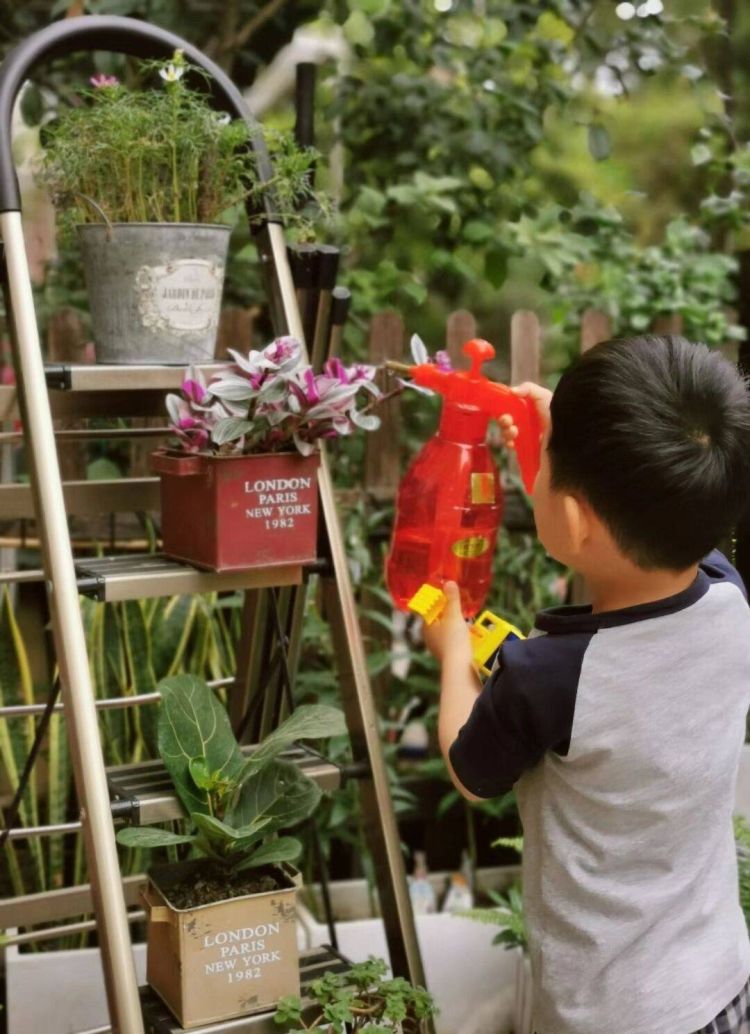 30平米一樓花園實景圖_住一樓花園洋房體驗感受-成都青望園林景觀設計公司-1 30平米一樓花園實景圖_住一樓花園洋房體驗感受-成都青望園林景觀設計公司-1