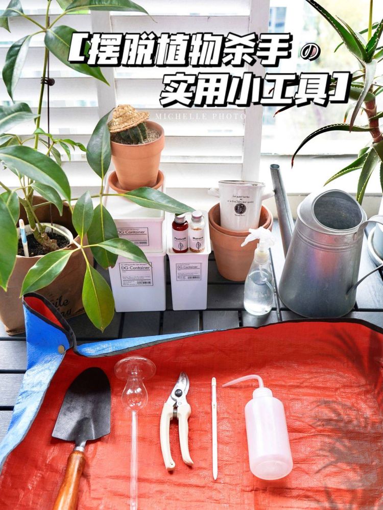 6平米陽臺小花園設計布置打造-成都青望園林景觀設計公司-1 6平米陽臺小花園設計布置打造-成都青望園林景觀設計公司-1