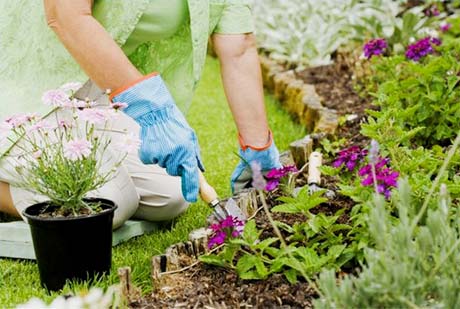 私家花園養護之:植物維護打理全年計劃表_成都花園裝修設計